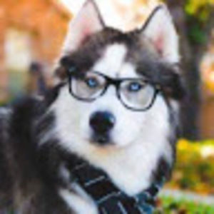 Meet your Posher, Boho